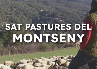 SAT PASTURES DEL MONTSENY - Fira de la Botifarra la Garriga